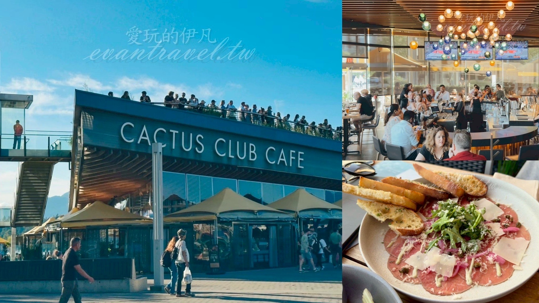溫哥華美食。Cactus Club Cafe Coal Harbour｜海景餐廳必訪推薦，招牌調酒・炸魷魚・和牛 Carpaccio必吃！