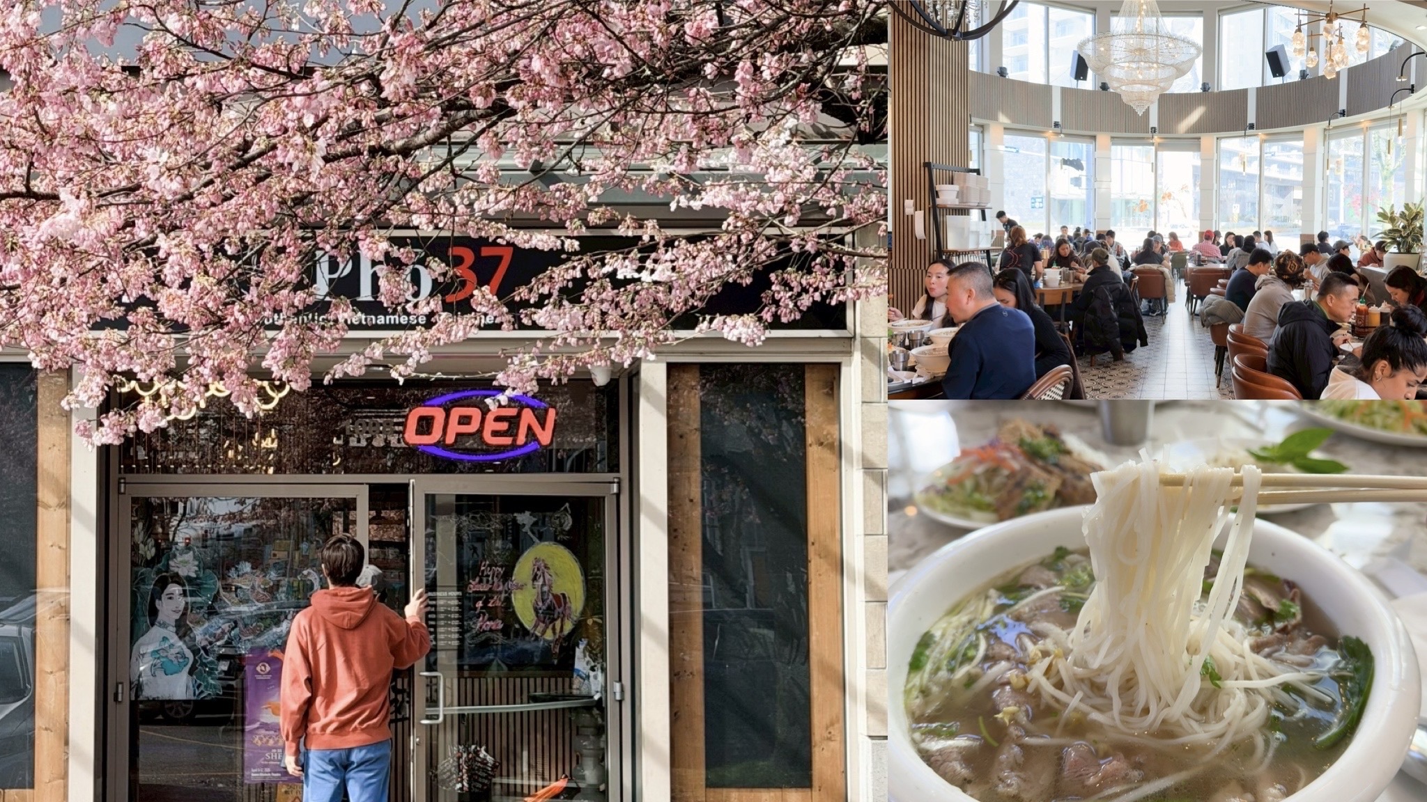 溫哥華美食。Richmond 絕美景觀越式料理 Pho 37，在櫻花樹下品嚐靈魂湯頭必吃！列治文必吃